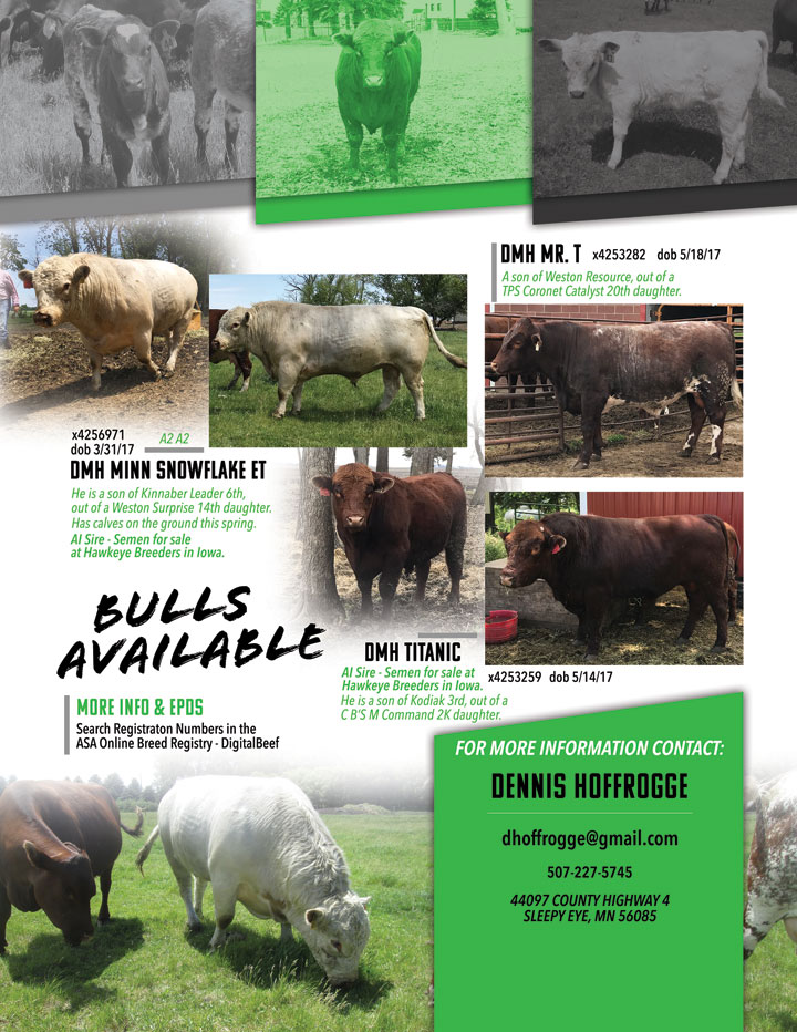 July 2019 Shorthorn Country ad